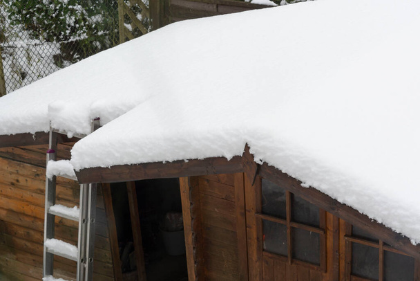 冬のドイツ屋外自然雪 - 写真・画像