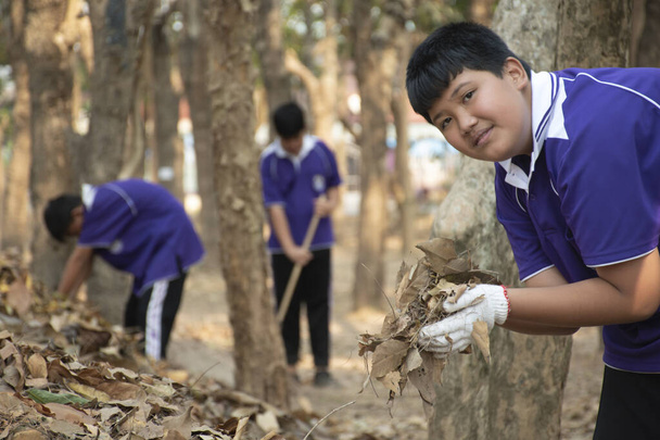 Asiatische Schüler sammeln getrocknetes Laub, das unter die Bäume gefallen ist, und stapeln es in der Nähe der Bäume, um organischen Kompost zu produzieren, der an die Gemeinde rund um die Schule verteilt wird.. - Foto, Bild