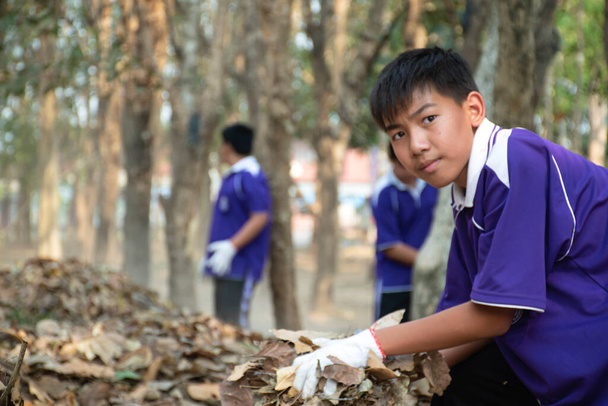 Des étudiants asiatiques ramassent des feuilles séchées qui sont tombées sous les arbres et les empilent près des arbres pour faire du compost organique à distribuer à la communauté autour de l'école, concept du Jour de la Terre. - Photo, image