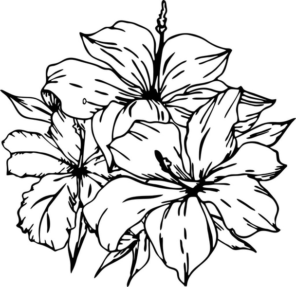 black contour drawing of a branch of flowers on a white background, logo, art - Vecteur, image