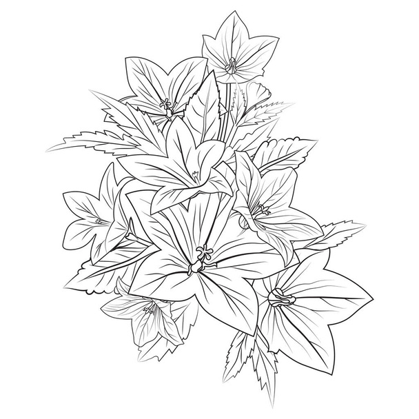 Easy yellow bellflower drawing, topically bellflower drawing, vector illustration of a beautiful floral background, flower coloring page for adults, Realistic flower coloring pages, vector illustration engraved ink art. - Vector, Image