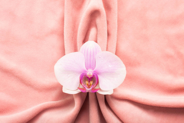 Pink soft tissue in the form of female genital organs, vulva and labia, vagina concept with delicate flower. High quality photo - Фото, изображение