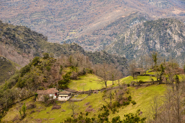 Pando village, Somiedo Natural Park and Biosphere Reserve, Asturias, Spain - Photo, Image