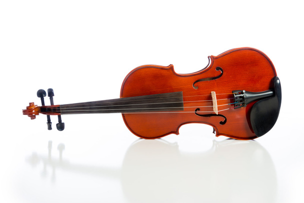 Violin on a white background - Foto, afbeelding