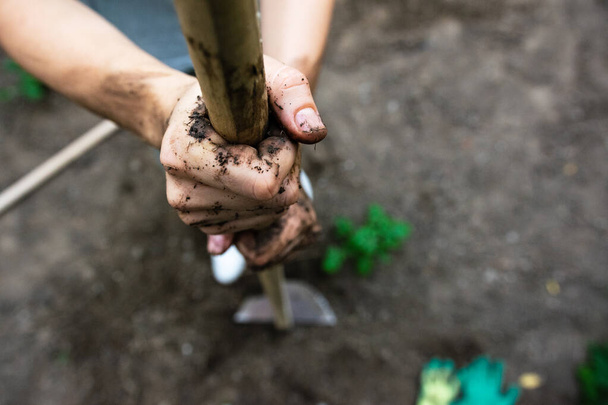 Dirty women hands holding gardening tool. High quality photo - Photo, image