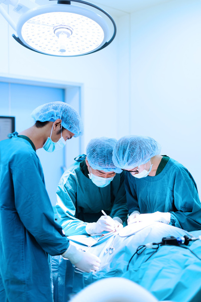 Veterinarian surgeons in operation room - Fotó, kép