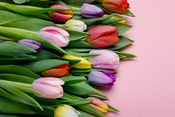 Beautiful colorful tulips on pale pink background - Zdjęcie, obraz