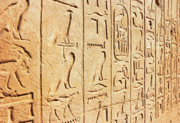 Old Egypt Hieroglyphs - Photo, Image