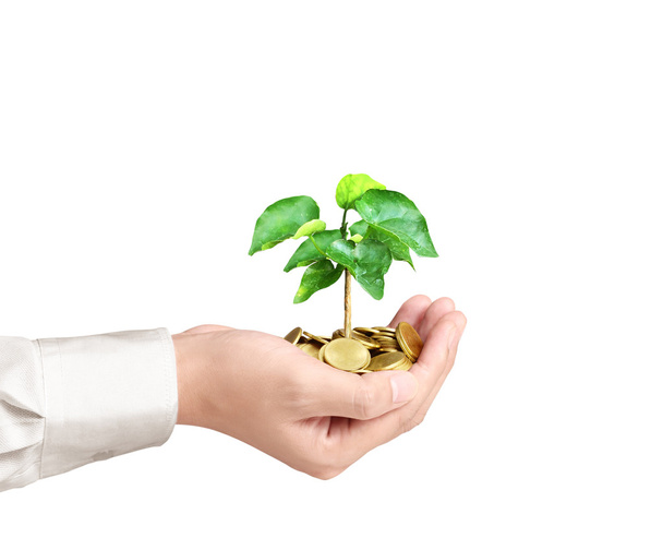 Man holding plant sprouting from a handful of coins  - Photo, Image