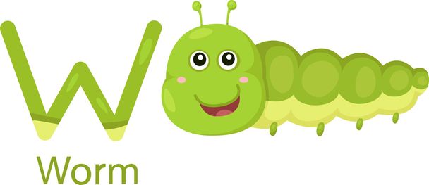 Illustrator of W with worm - Vector, Image