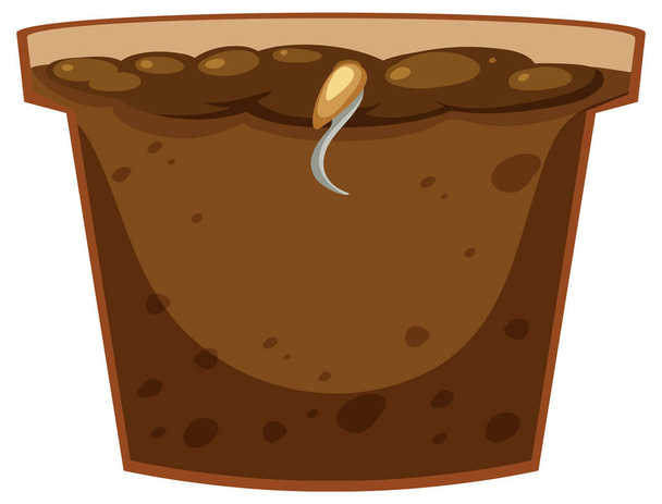 Seed germination process concept illustration - Вектор,изображение