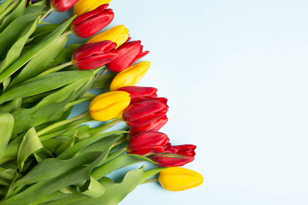 Baner z bukietem tulipanów w kolorze różowym i białym. Koncepcja wiosny. Tło kwiatów. - Zdjęcie, obraz