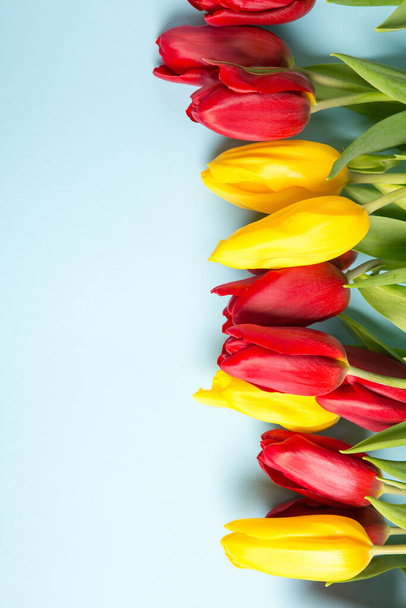 Banner con ramo de tulipanes en colores rosa y blanco. Concepto de primavera. Fondo de flores. - Foto, imagen