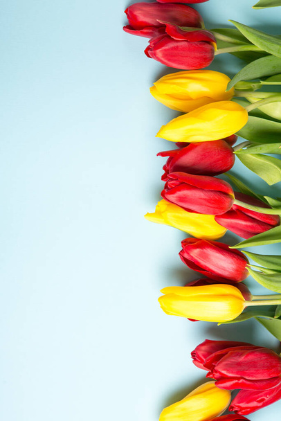 Banner con bouquet di tulipani nei colori rosa e bianco. Concetto di primavera. Fiori sfondo. - Foto, immagini