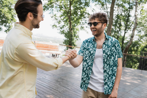 Positive friends in sunglasses meeting in summer park  - Fotografie, Obrázek