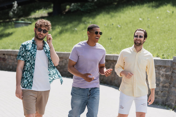 Positive multiethnic men in sunglasses talking while walking in park at daytime  - Fotografie, Obrázek