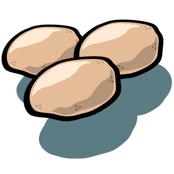 Картошка - Вектор,изображение