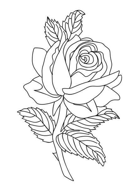 Rose June birth month flower line art vector illustration. Modern minimalist hand drawn design for logo, tattoo, packaging, card, wall art, poster. Outline drawing isolated on white background. - Wektor, obraz