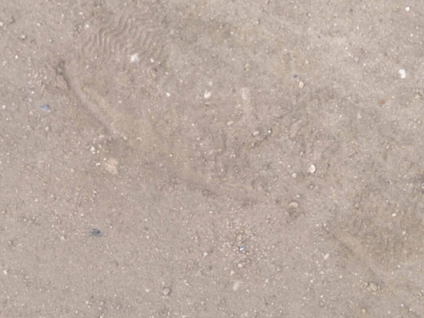 Footprint on ground as a background. Copy space. - Φωτογραφία, εικόνα