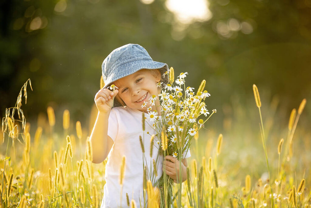 Cute little toddler child, blond boy, eating watermelon in beautiful daisy field on sunset - Foto, immagini