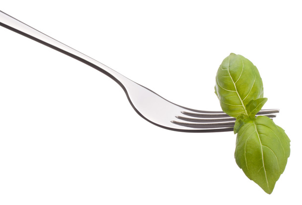 Fresh basil leaf  on fork - Foto, afbeelding