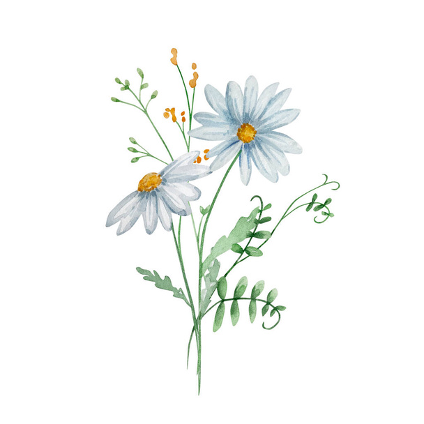 Watercolor bouquet of wildflowers, illustration for cards and invitations - Фото, зображення
