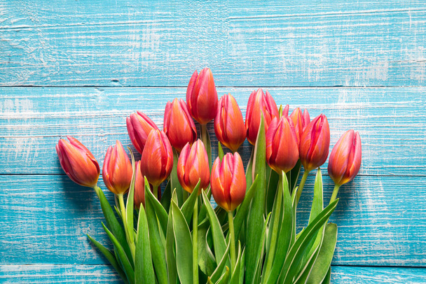 Bouquet of pink tulips on a blue wooden background, top view, close up. - Photo, Image