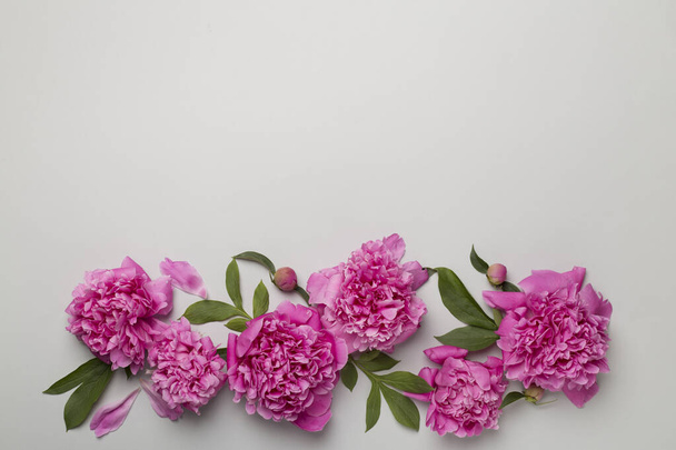 Beautiful peony flowers on color background, top view. - Foto, Imagem