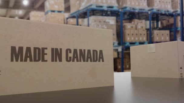 Cajas con texto MADE IN CANADA en el transportador. Productos canadienses relacionados con la animación 3D loopable. - Metraje, vídeo