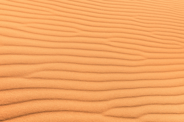 Sand desert background with wind ripple - Concept of purity and pristine unspoiled travel destination - Exclusive adventure travel in african desert Sussuvlei in Namibia territory - Photo, Image