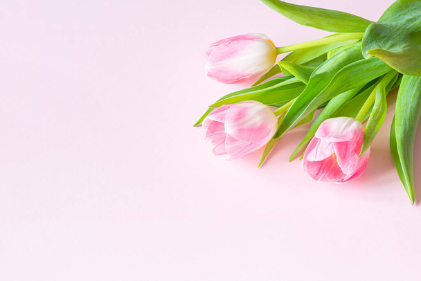 Kukkakimppu vaaleanpunainen tulppaanit vaaleanpunainen tausta. Äitienpäivän onnittelukortti, naisten päivä 8. maaliskuuta, Ystävänpäivä. Kevätlomien juhla. Tasainen lay kukista, ylhäältä näkymä, kopioi tilaa. - Valokuva, kuva