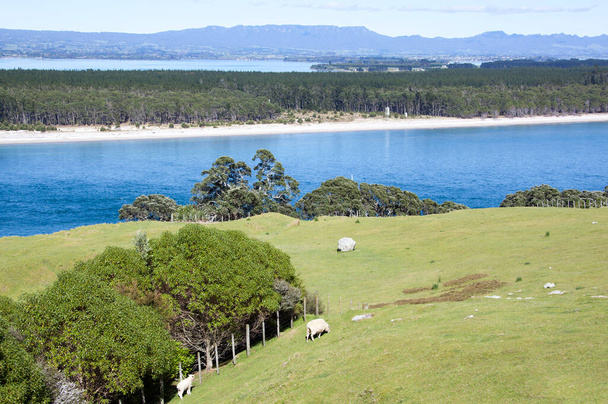 Сценічний вигляд гори Маунгануї курортне місто сільський пейзаж і острів Матакана на задньому плані (Нова Зеландія).). - Фото, зображення
