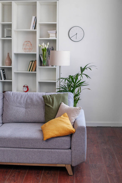 sala de estar moderna interior com sofá e plantas - Foto, Imagem