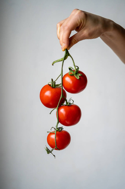 Fresh red ripe tomatoes on branch in hand of female on light grey background. Vegetable for cooking on home, restaurant kitchen. Seasonal organic raw food for healthy diet, vitamins, vegan, good mood - Fotografie, Obrázek