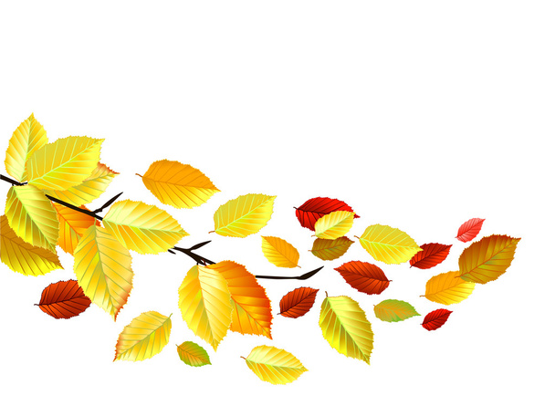 10 月の秋の紅葉 - ベクター画像