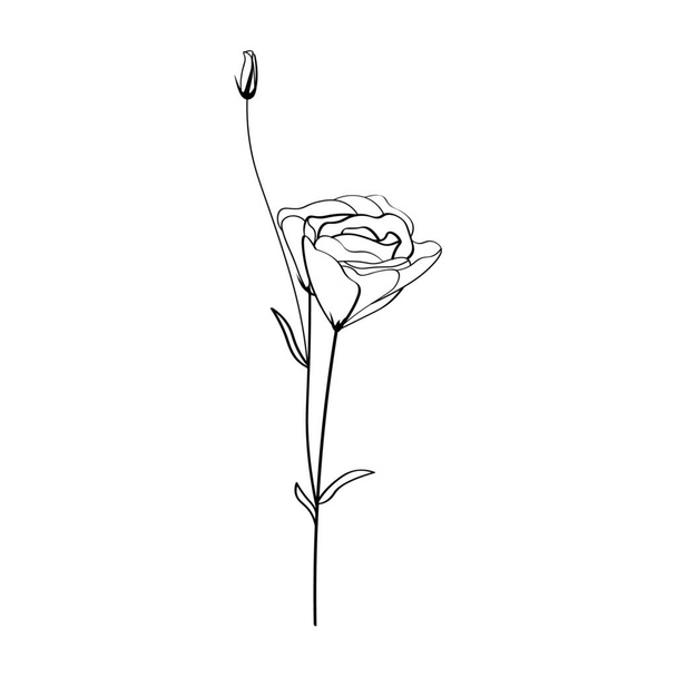 白い背景の上の美しいトルコギキョウの花 - ベクター画像