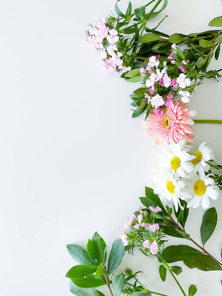 japoński dianthus, gerbera, rumianek i liście laurowe. kwiatowa ramka z pustym miejscem na tekst lub napis. wiosenna pocztówka - Zdjęcie, obraz