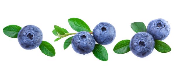 Fresh Blueberries with Leaves - Photo, Image