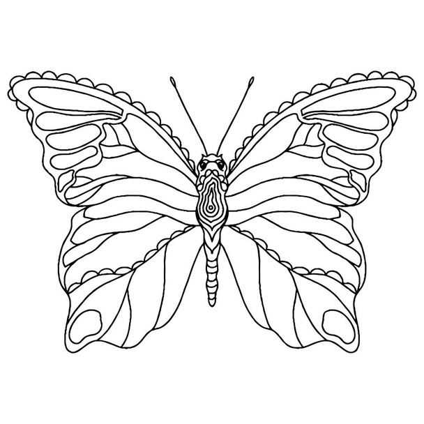 グリーティングカード、ぬり絵のための黒い線蝶。独立したベクトル蝶 - ベクター画像