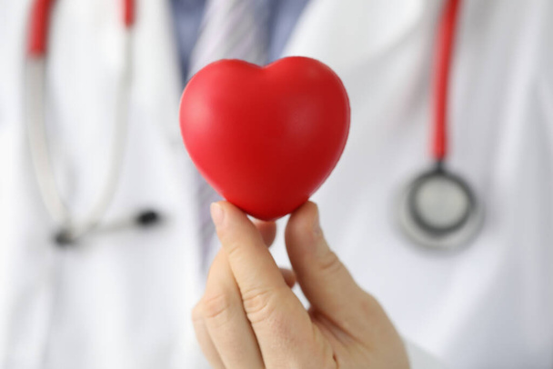 Cardiologo che tiene il cuore rosso giocattolo primo piano. Medico cardioterapista e trattamento del concetto di malattia cardiovascolare - Foto, immagini