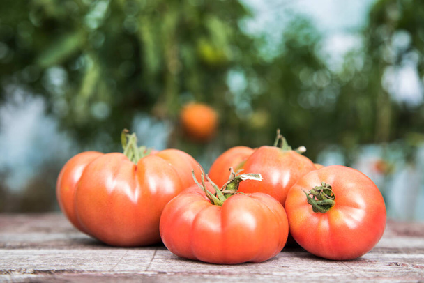 Sebzeler, ahşap masadaki domatesler. - Fotoğraf, Görsel