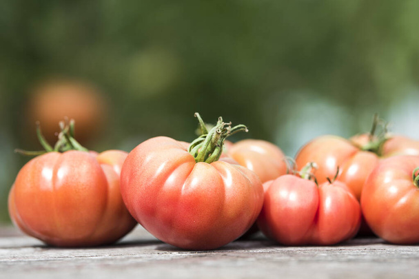 Sebze, domates, bahçede masanın üstünde.  - Fotoğraf, Görsel