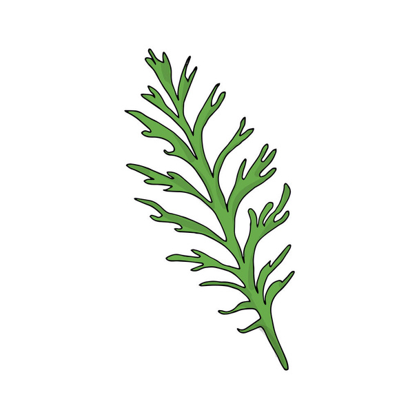 Flower leaf vector illustration, isolated on white background, chamomile leaf - Vector, afbeelding