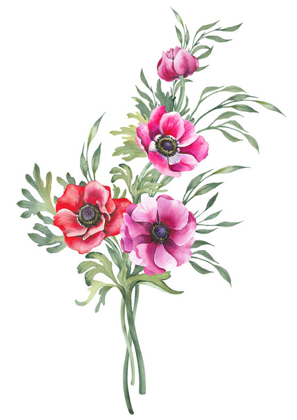 Colorful anemone flowers and delicate branches bouquet. Illustration isolated on white background. - Fotó, kép