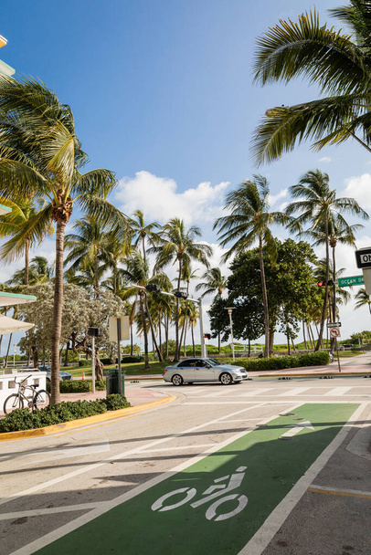 MIAMI, FLORIDA, USA - DECEMBER 15, 2022: green palm trees next to road with modern car  - Фото, изображение