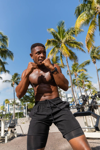 strong and shirtless african american fighter in shorts exercising in Miami beach  - Foto, Imagem
