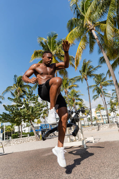 shirtless african american sportsman jumping next to palm trees in Miami beach  - Φωτογραφία, εικόνα