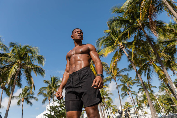 low angle view of sweaty and muscular african american sportsman in shorts standing next to palm trees after workout in Miami  - Photo, image