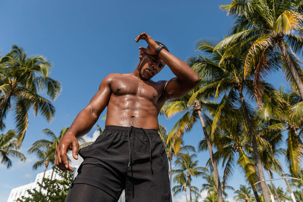 vista a basso angolo di sudaticcio sportivo afroamericano in pantaloncini in piedi accanto a palme verdi dopo l'allenamento a Miami  - Foto, immagini