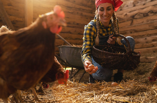 Beroemde vrouw verzamelt biologische eieren van haar kippen in mand - Foto, afbeelding
